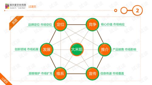 大米姐品牌营销策划案商业计划书精品模板.ppt